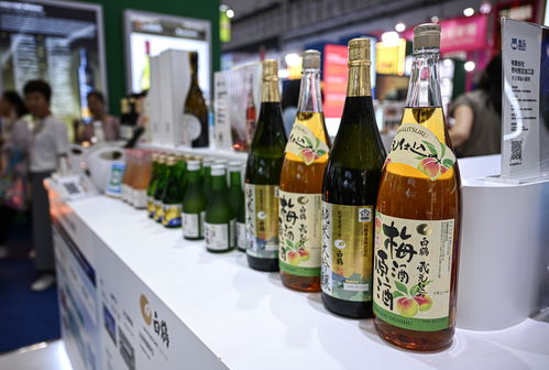 在消博會感受海南自貿港的“國際范”酒類經營